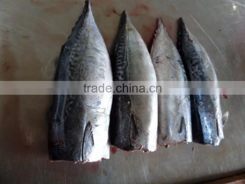 Frozen Bonito HGT