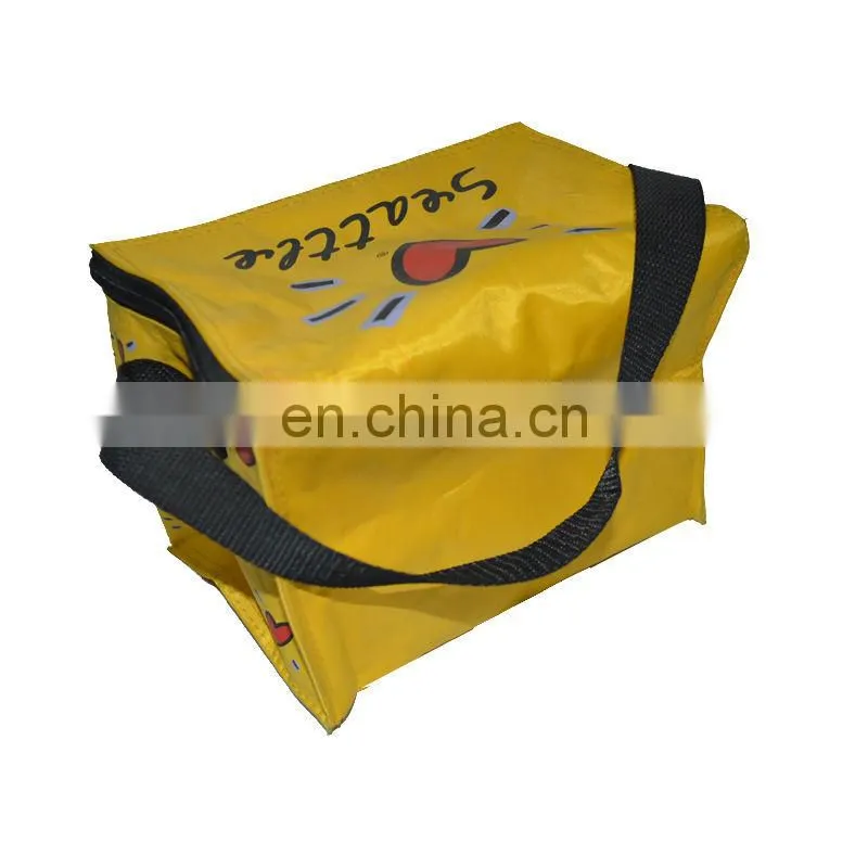 High Quality Cooler Bag For Frozen Food