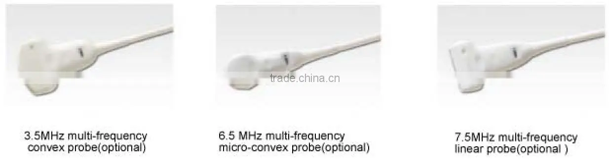 FN260V Full digital B model vet ultrasound device