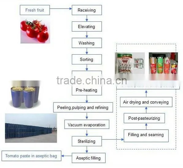 Professional Manufacture tomato paste production line