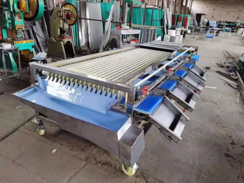 Green Lime Fruit Sorting Grading Machine Sorter Grader Machine Line Classifying Machines