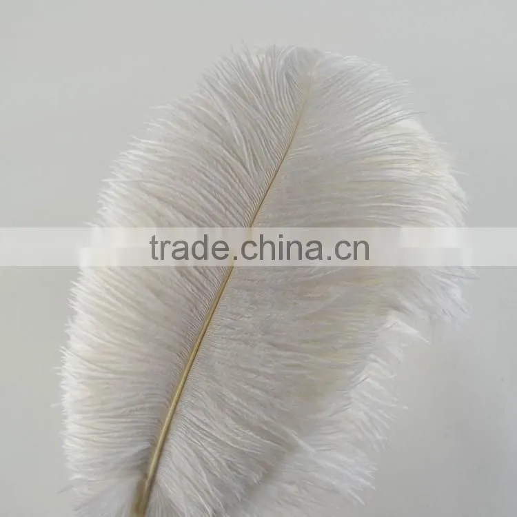 White Colour Party Ostrich Feathers, Ostrich Plumes Feathers, Dyed Ostrich Plumes for Wholesale