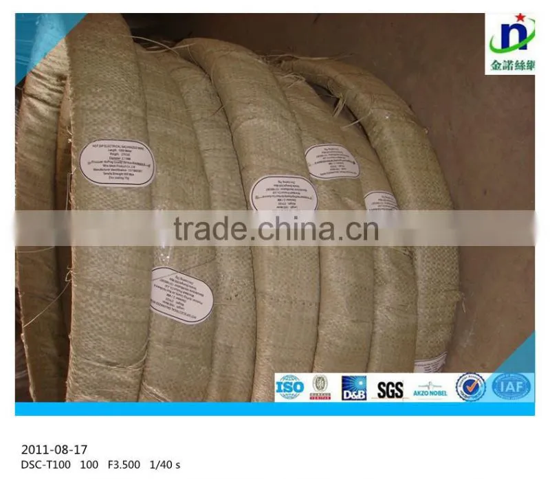 2.4X3.0 Galvanized Oval wire