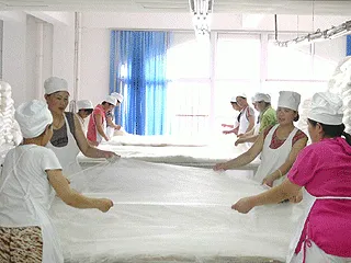 Xuzhou Shengkun Silk Manufacturing Co., Ltd. company overview - view 1