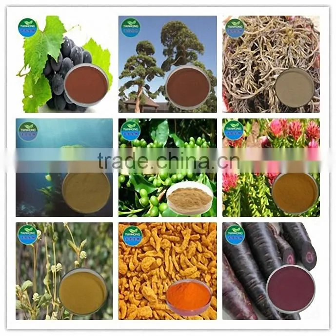 Manufacturer Pure Natural High Quality Garlic Extract, Allicin, Allicin Powder