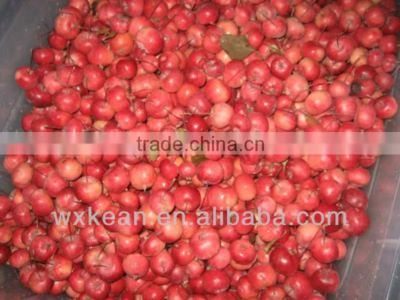 Hot sale automatic fruit and vegetable beating machine