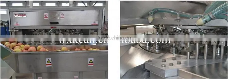 Hot sale apple chips expanded system manufactured in Wuxi kaae