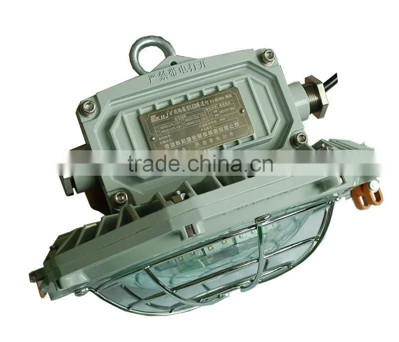 30W Indoor And Outdoor LED Floodlight IP66 For Terrible Place