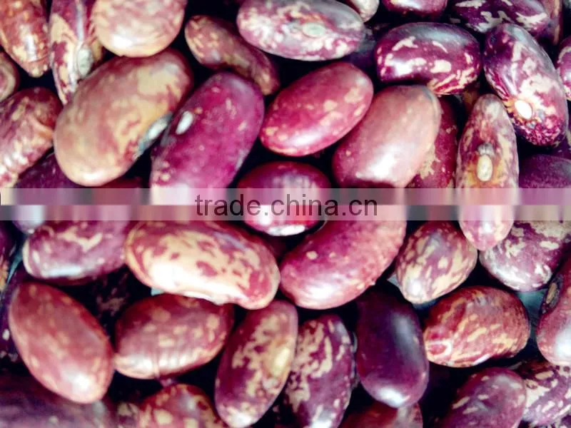 Chinese purple speckled kidney beans