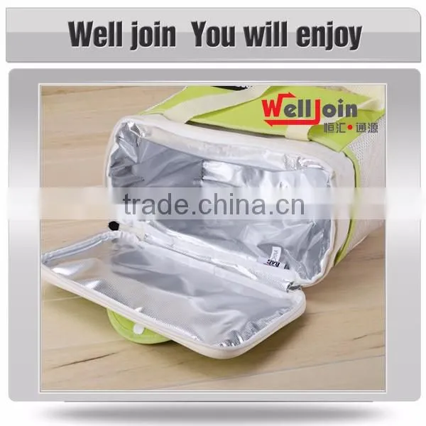 Fashion insulated picnic cooler bag