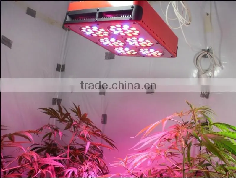 Wholesale grow light apollo series made in China