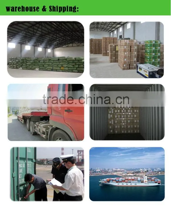 China chunmee green tea 41022 in 250g box
