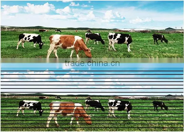 Video Display Function and Full Color Tube Chip Color led display module