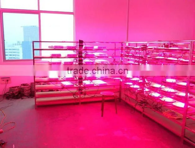 90*1w red and blue color UFO LED grow light