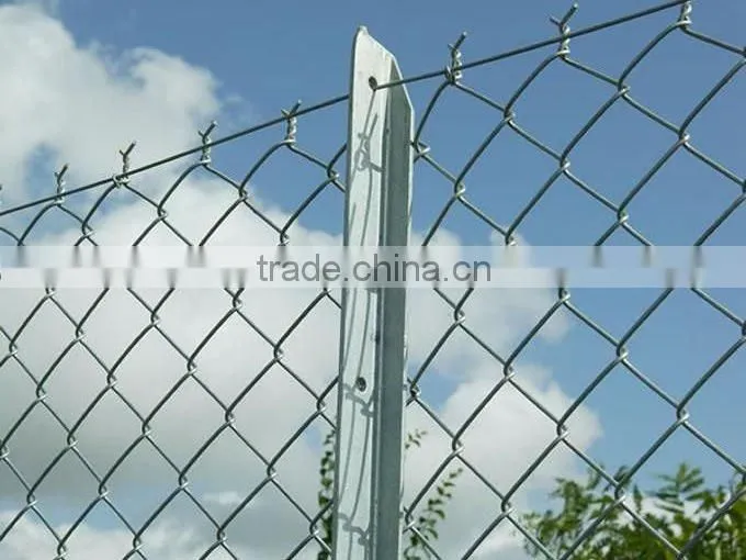 pvc coated Galvanized Welded Dog Fence