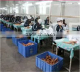 Jieyang Defa Industry Co., Ltd. company overview - view 2