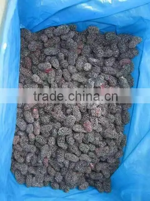 New crop frozen mulberry for sale