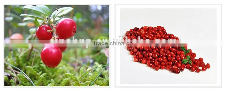Mytext Cranberry Extract