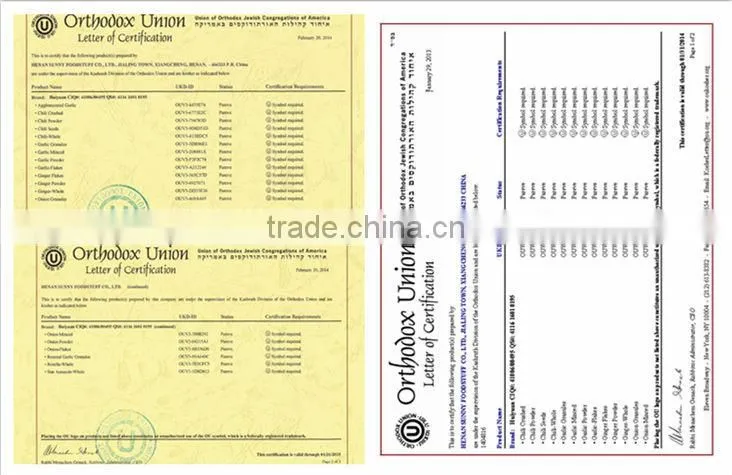 High Quality Dried Garlic Powder/Garlic Flakes/Garlic Granules with Best Price