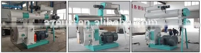 Automatic Ring Die Chicken Feed Processing Plant