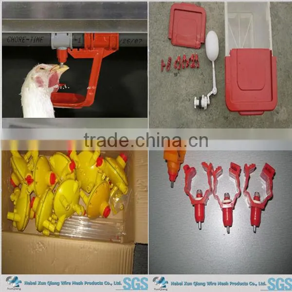 galvanized welded wire chicken cage for farm