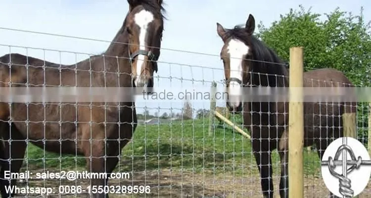 Fixed Knot Cattles Field Fencing machine