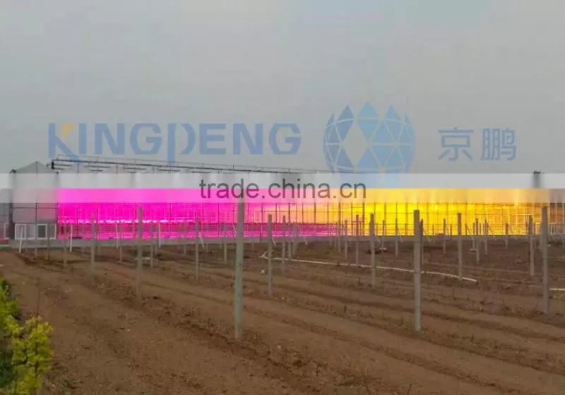 Agricultural Greenhouse Light