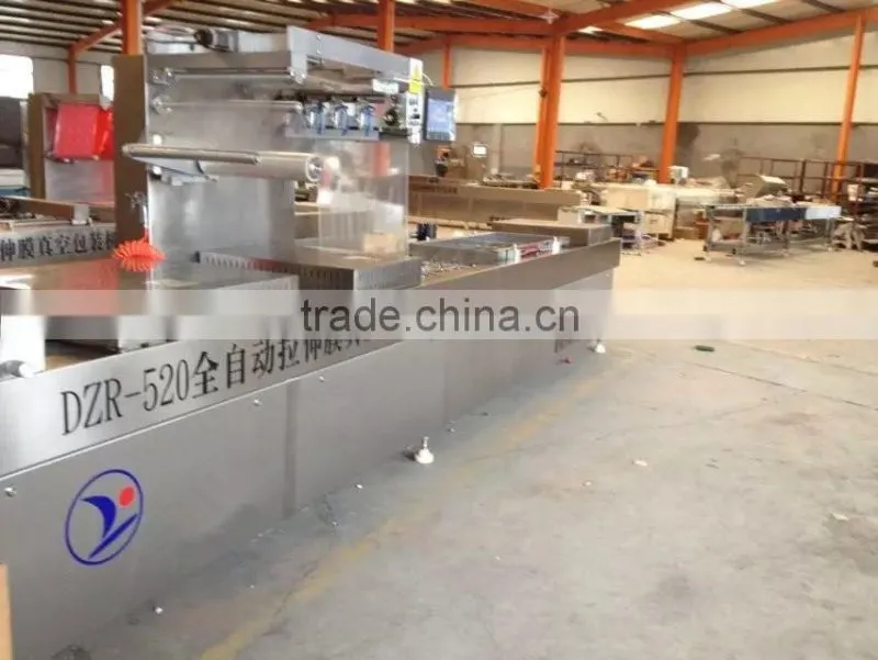 RZ420 automatic continuous vacuum packing machine