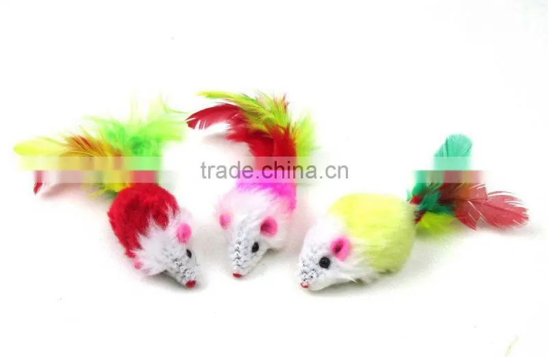 Cat toy, Cat scratcher, Cat teaser