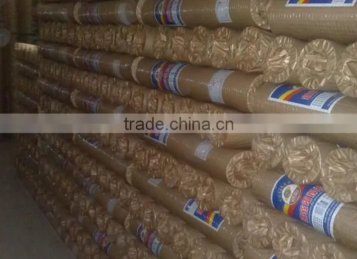 Galvanized Welded wire mesh from Guangzhou supply