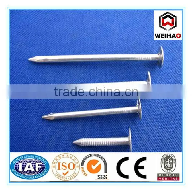 manufacturer Zinc coated/galvanized nails, brass roofing nails !!!