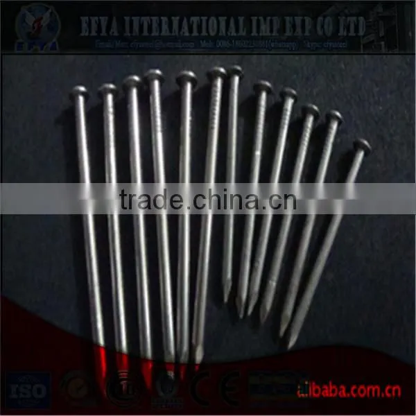 common nail