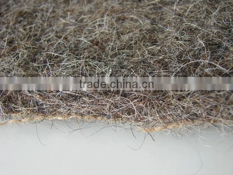 Popular and Elasticity Needled Horse hair with jute mattress