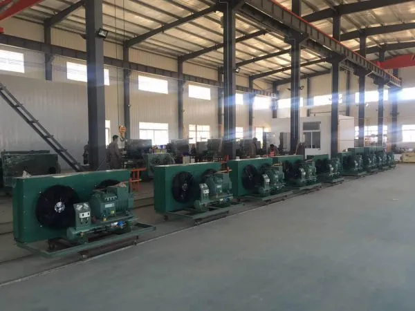 Shandong Atlas Refrigeration Technology Co.,Ltd. company overview - view 1