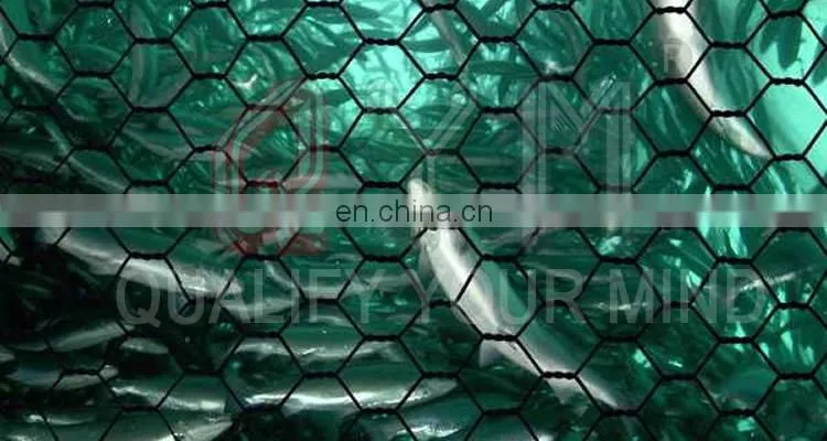 Factory Pet Fish Farming Cage Netting Agriculture Fish Farm Nets Hexagonal Wire Mesh