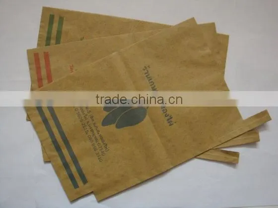 Mango fruit growing paper bag