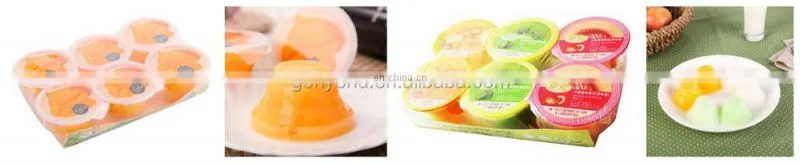Assorted fruit pudding jelly/jelly candy production line