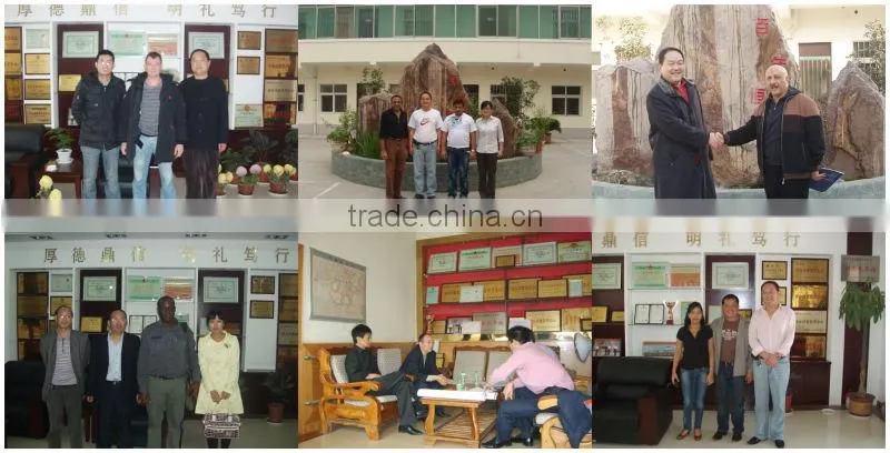 Henchang high quality dual shaft mixer machine for charcoal