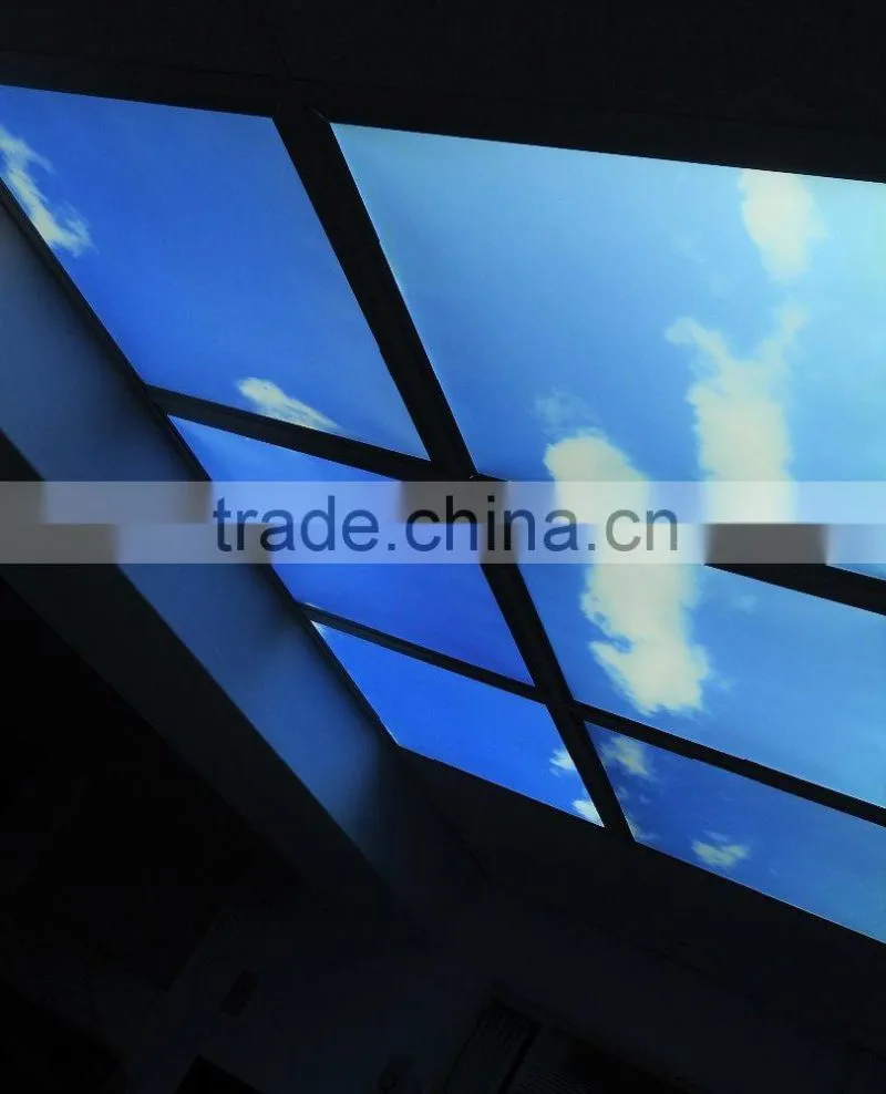MICROSTONE 3x2 customized colorful SKY led ceiling mount light