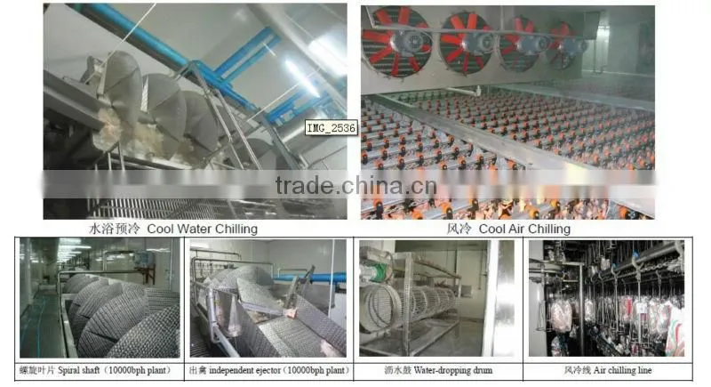 poultry chilling line