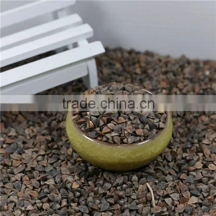 high quality sweet raw buckwheat roasted buckwheat price