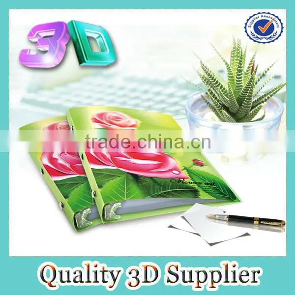 Hot 2014 custom deep 3d lenticular ruler
