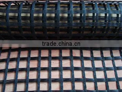 12.5mmx12.5mm Geogrid with CE /ISO Certificate