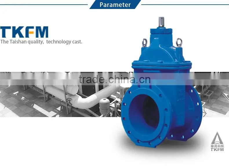 TKFM water supply 304 stainless steel flange gate valve pn16