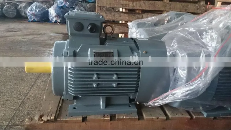 230/460/575V NEMA high efficiency motor for USA and Canada Market