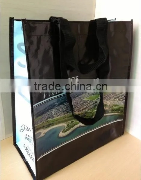 Best-selling promotional PP Woven Lady Bag