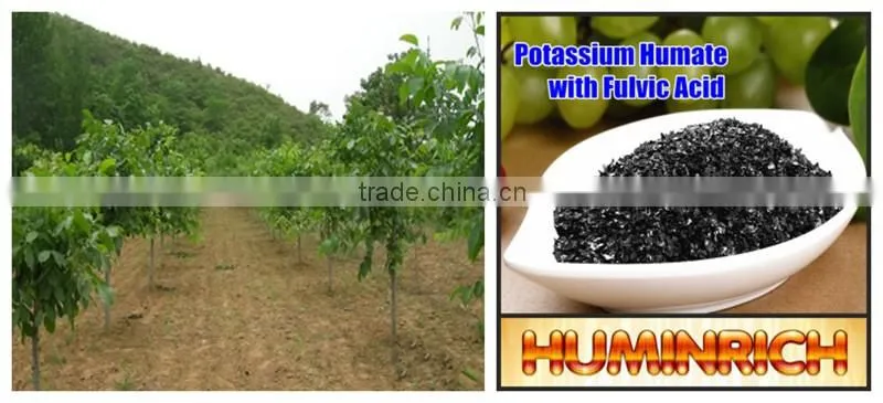 Relationship Between Root Growth And Fertilization Of Fruit Trees