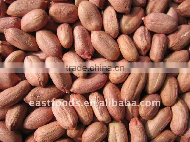 Raw Peanuts Kernel from China