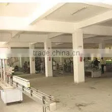 DXDK-100NWD Automatic Tea Packing Machine
