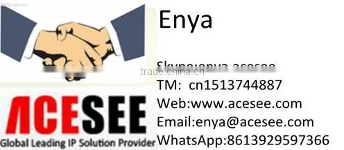 ACESEE new products 1.3mp onvif p2p ip camera with free cms software